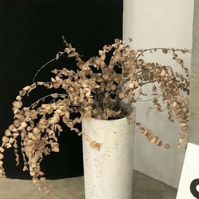 白玉福瑞交流群